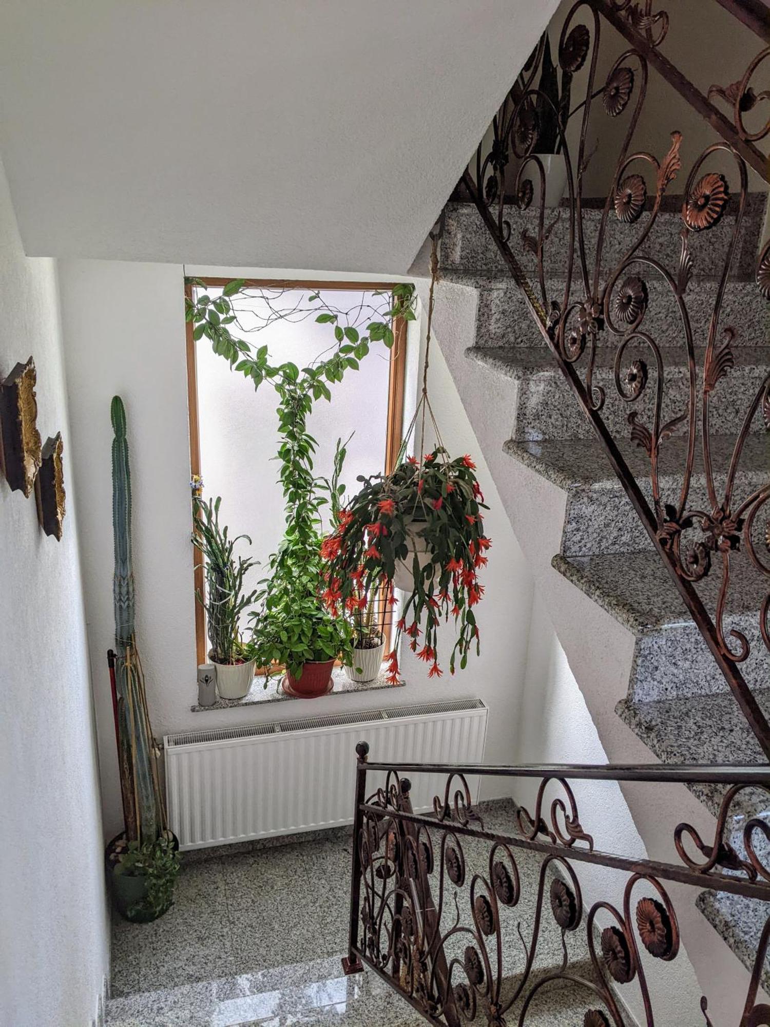 Apartmani Hrastik Bihać Exteriör bild
