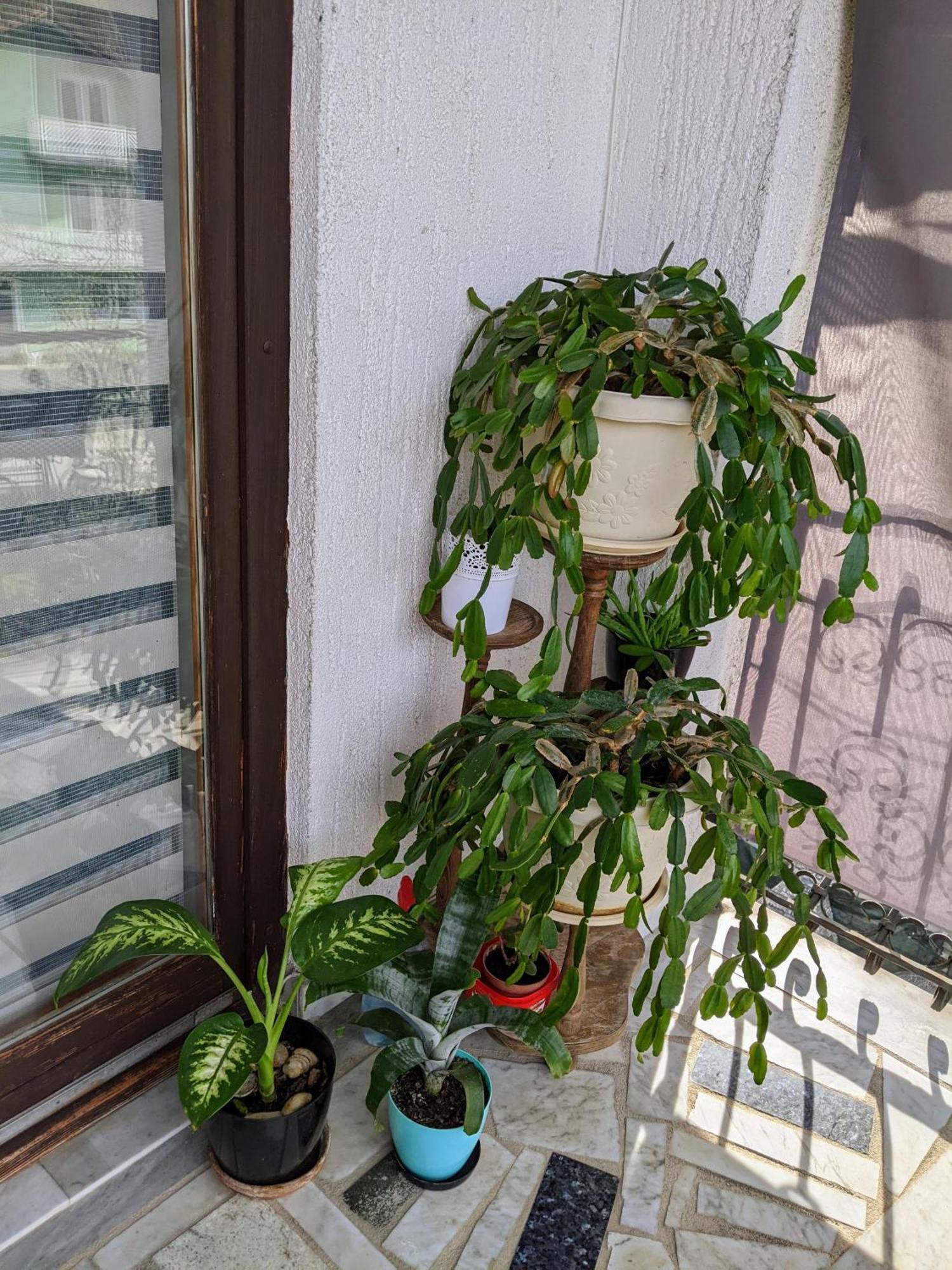 Apartmani Hrastik Bihać Rum bild